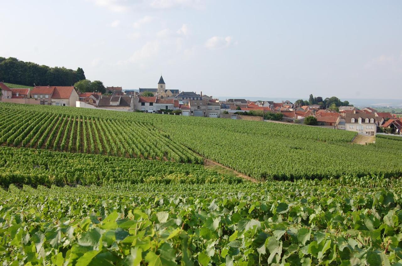 Les Cepages Bed & Breakfast Le Mesnil-sur-Oger Exterior photo